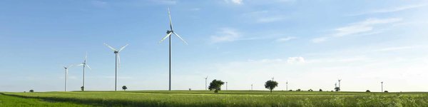 Gâteaux et desserts sans sucre ajouté : alternatives saines