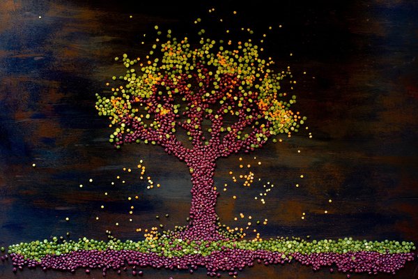 Les restaurants avec les meilleures options véganes